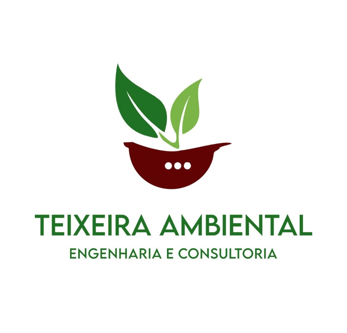 Teixeira Ambiental
